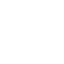 Security-First Icon